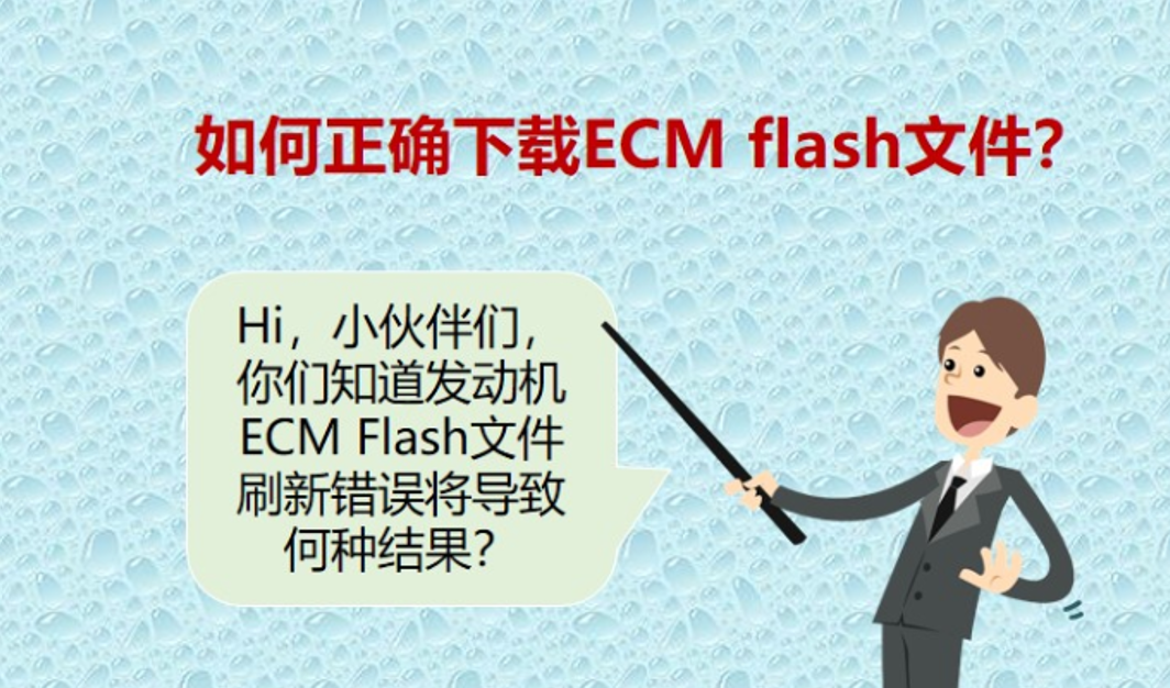 如何正确下载ECM Flash文件？
